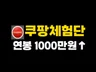 쿠팡체험단으로 연봉 천만원 올렸던 노하우