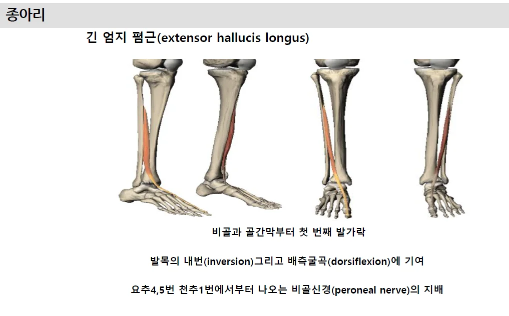 상세이미지-2