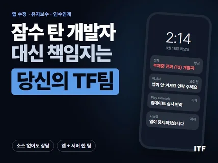 잠수 탄 개발자 대신 책임지는 당신의 TF팀
