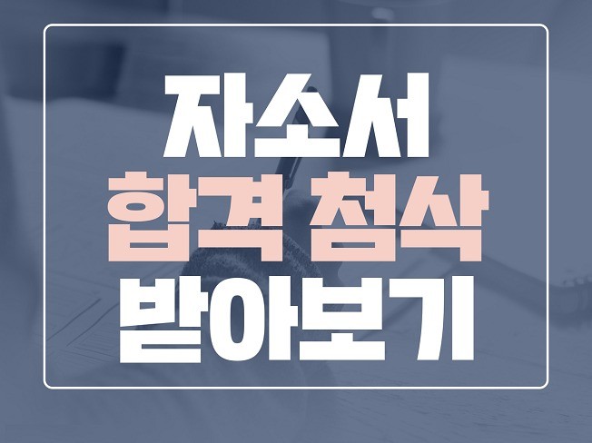 합격하는 자기소개서 첨삭 컨설팅