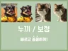 포토샵 배경 지우기,보정 등 정교하게 작업해 드립니다.