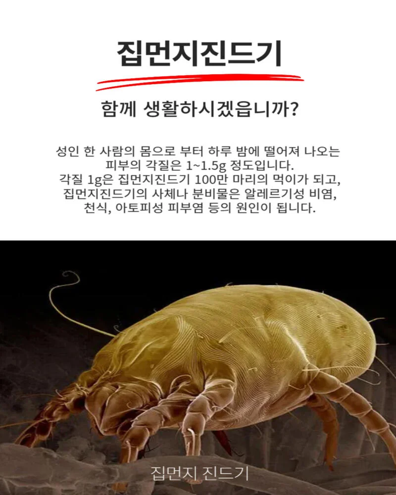 상세이미지-0