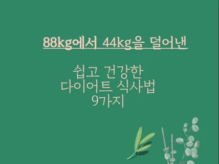 88kg에서 44kg 덜어낸 다이어트 식사법 9가지