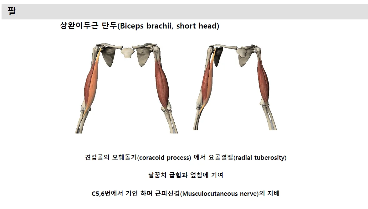 상세이미지-4