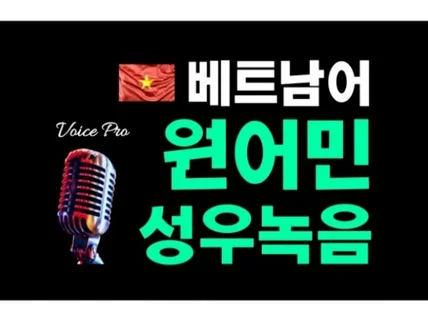 베트남어 원어민 외국인성우 번역더빙녹음서비스