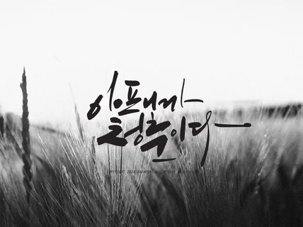 캘리그라피 필요하실때 마다 추가비용 없이 신청하세요