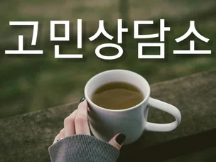 포트폴리오