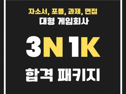 3N 1K, 대형 게임회사 취업 6개월 패키지