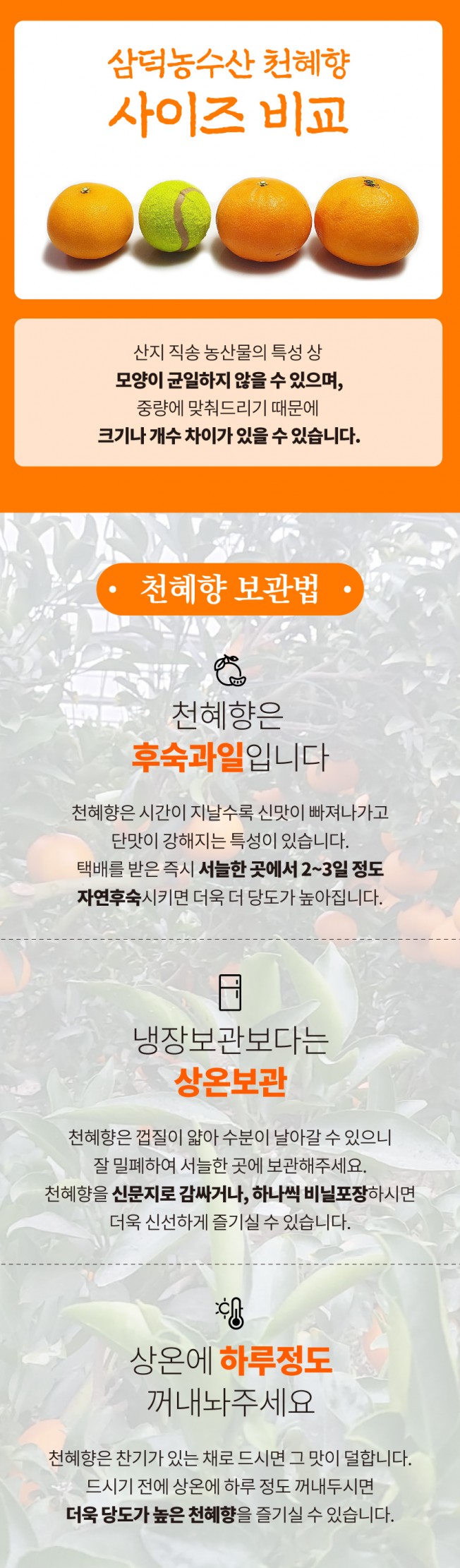 상세이미지-1