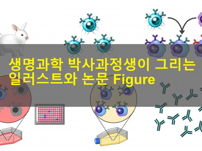 생명과학, 화학, 공학 일러스트 신속하게 그려드립니다.