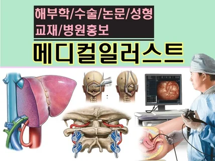 수술/해부학/논문/성형 등 고퀄리티 메디컬일러스트 제작