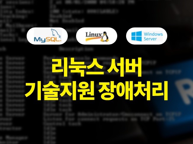 메인 이미지