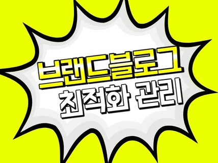 브랜드블로그 맞춤식 최적화 월관리