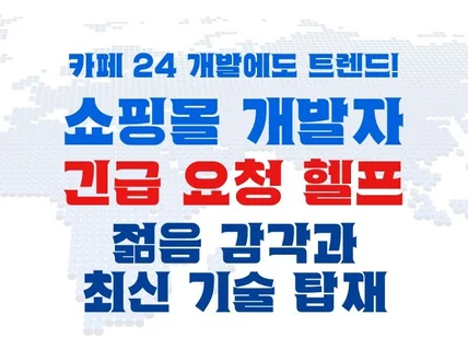 카페24 쇼핑몰 개발 긴급 요청 헬프 유지보수