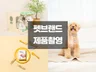 반려동물 브랜드 모델,제품 촬영해드립니다.