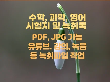 각종 타이핑, 문서편집 및 녹취록 문서화 작업합니다.