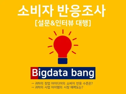 소비자 반응조사 설문 인터뷰 및 시장매력도 평가