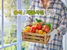 음식 메뉴사진 촬영 or 스튜디오를 렌탈해 드립니다.