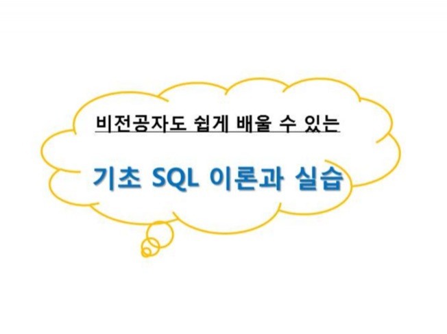초보자를 위한 SQL을 이용한 데이터 실습 수업을 해 드립니다.