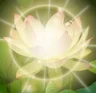 레이키(靈氣 Reiki) 힐링을 해 드립니다.