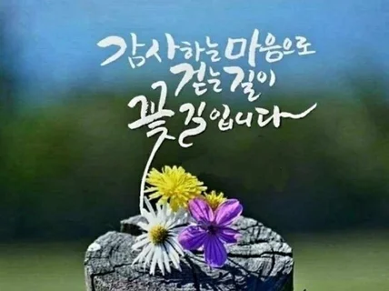 각 연령대 내담자의 상실. 애도. 슬픔 치유 회복 방안