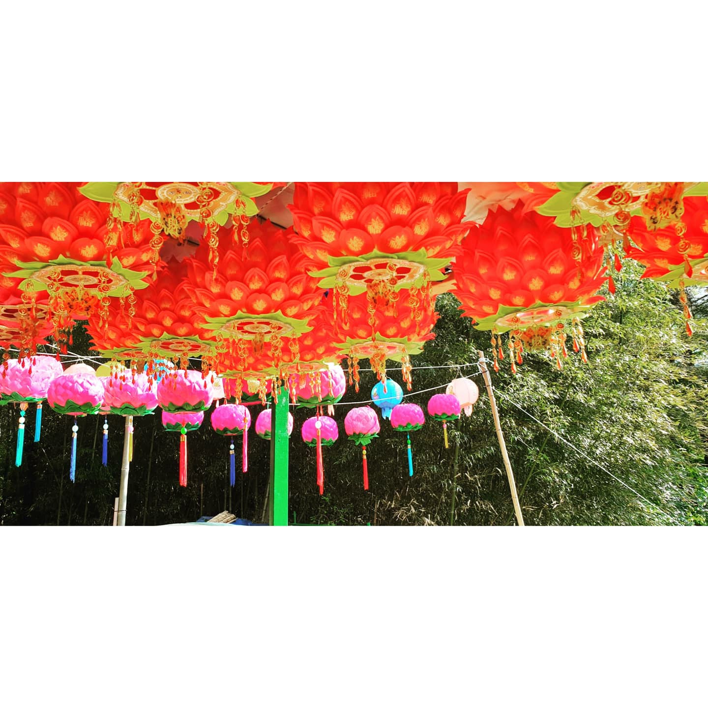 상세이미지-0