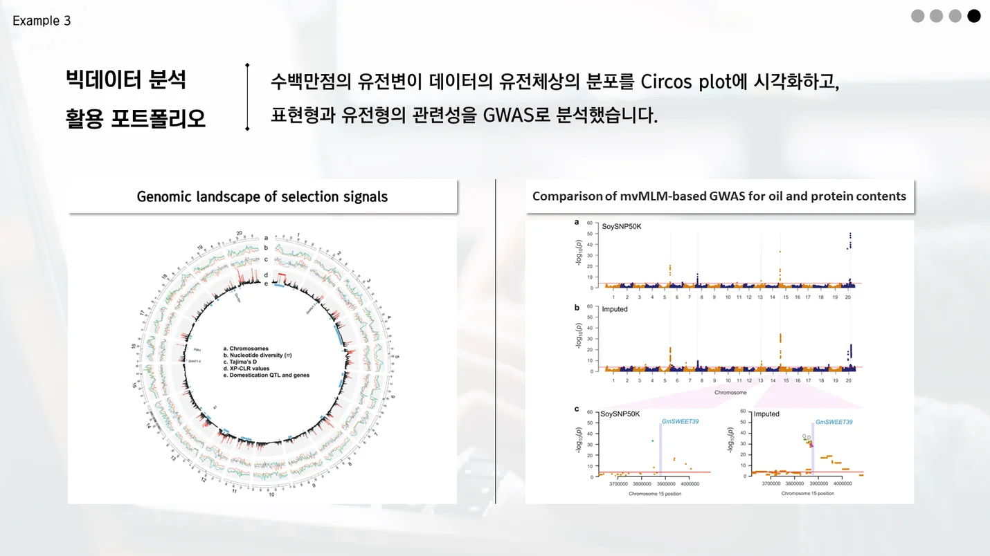 상세이미지-4