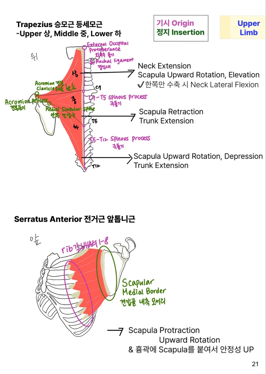 상세이미지-1