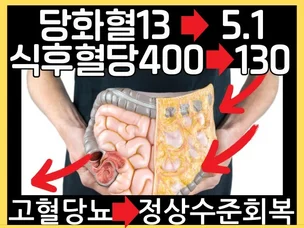 포트폴리오