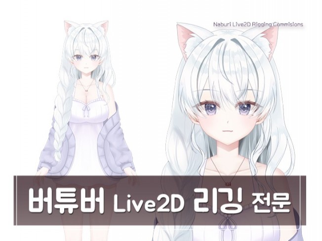 Live2d '리깅' 버튜버 일러스트 세트 제작 버츄얼