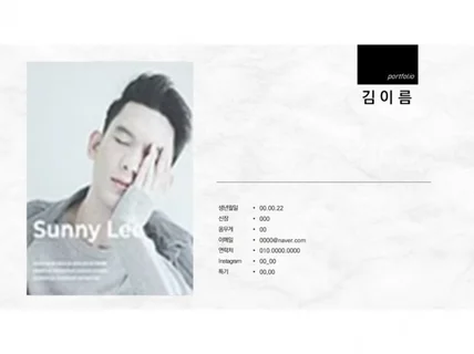 방송인, 배우 프로필 전문 PPT