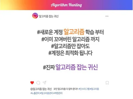 인스타그램 알고리즘 잡는 귀신