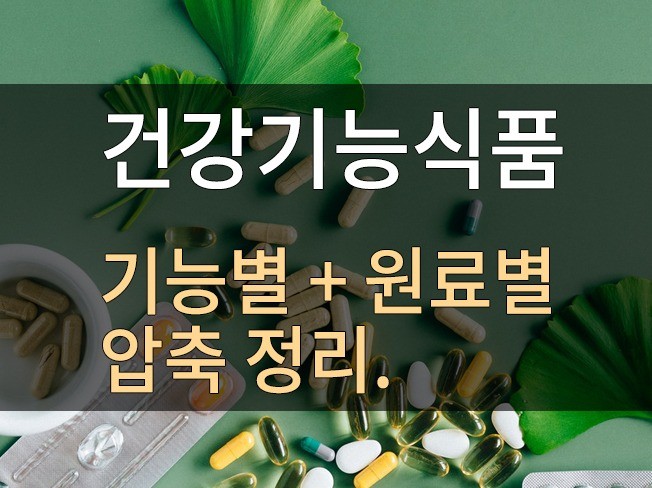 건강기능식품 24년 02월 기능별 원료별 최신 자료를