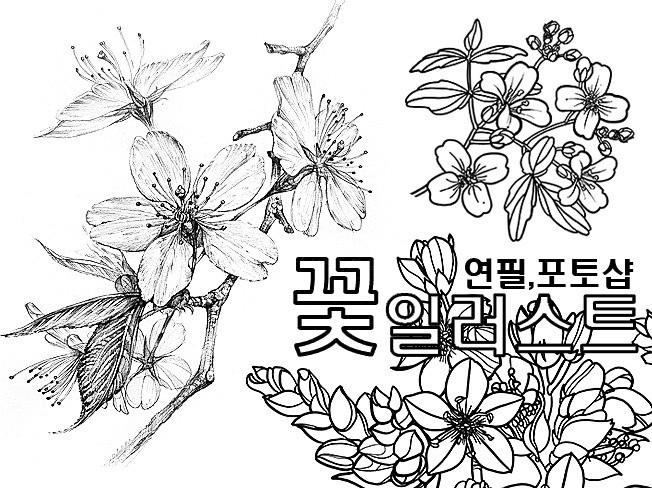 연관서비스
