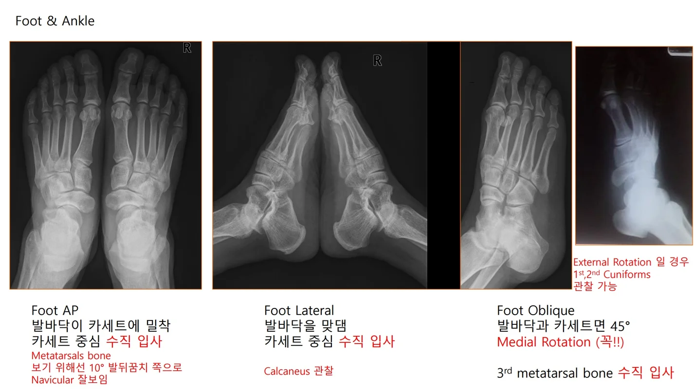 상세이미지-2