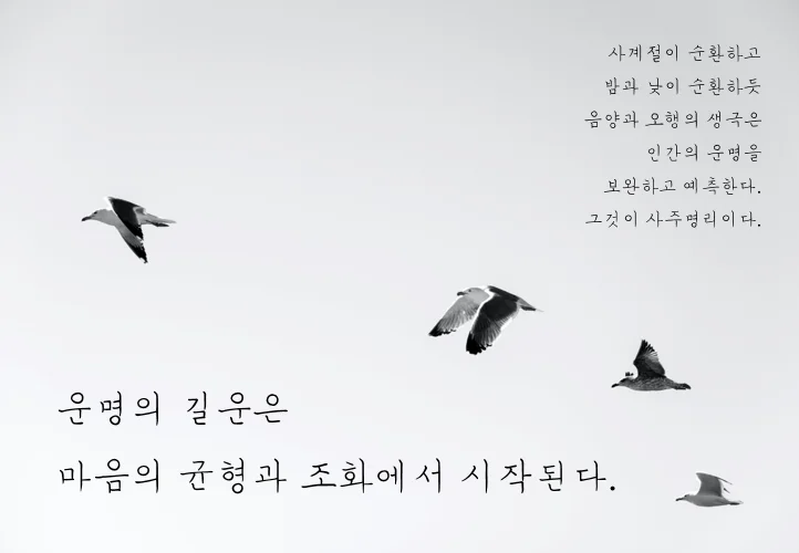 상세이미지-4