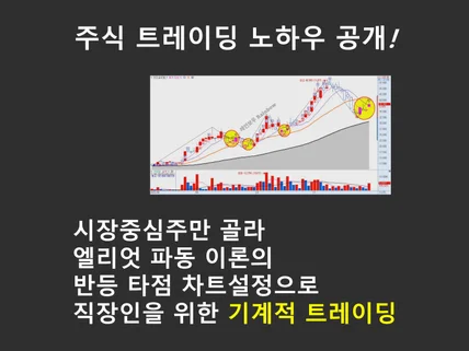 시장중심주 반등 타점 차트 설정으로 하는 기계적 매매