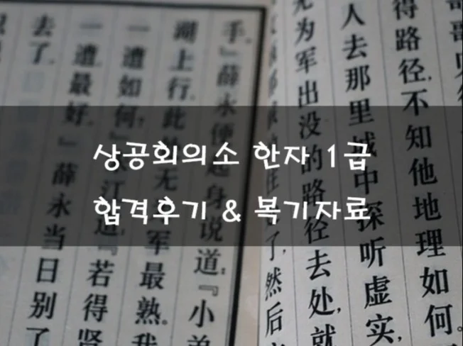 메인 이미지