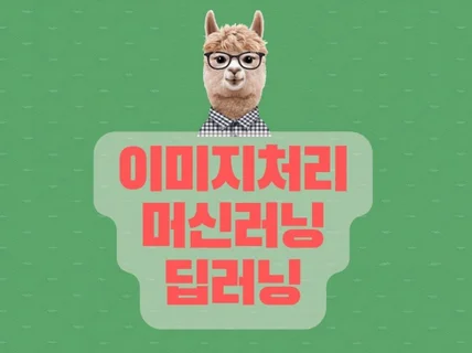 이미지처리 머신러닝 딥러닝 알파 솔루션