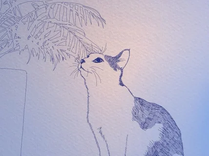 제품 라인 드로잉에서 감성 동물 라인 일러스트까지