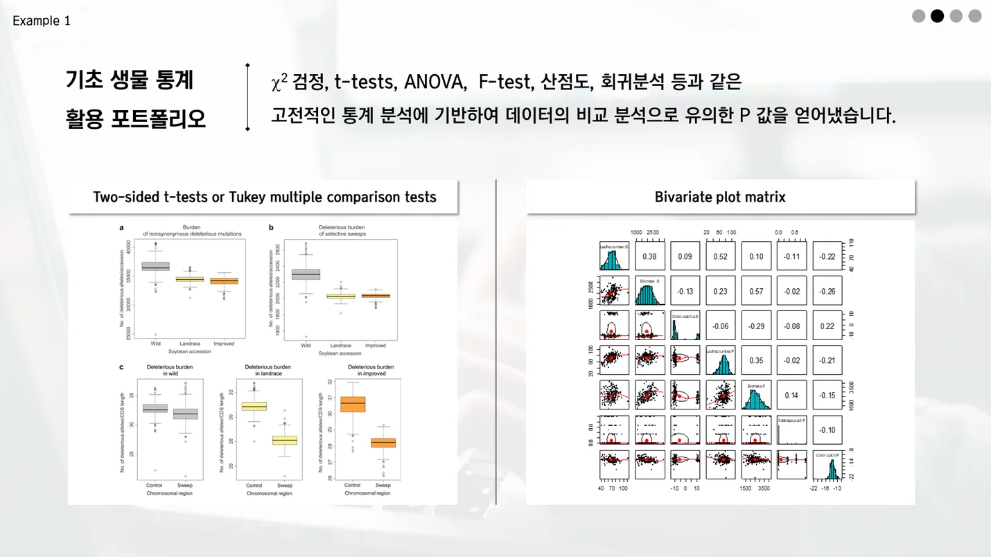 상세이미지-2