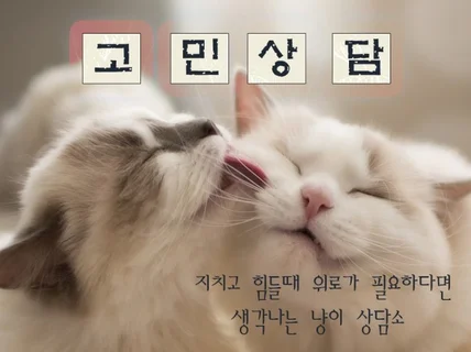 외로울때 곁에 있어주는 냥이 상담소