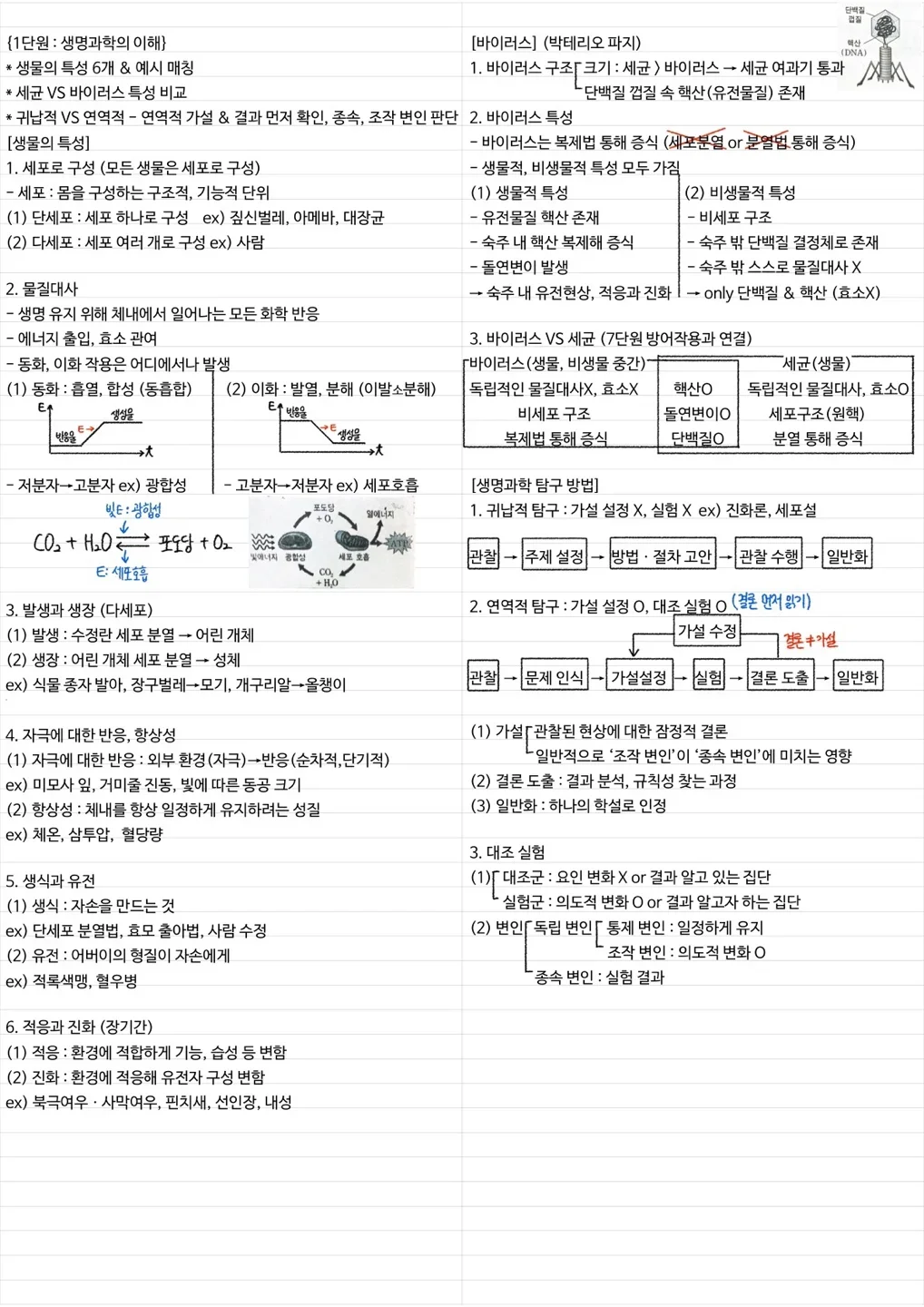 상세이미지-2