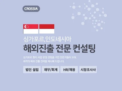 싱가폴, 베트남, 인도네시아 해외진출 전문 컨설팅