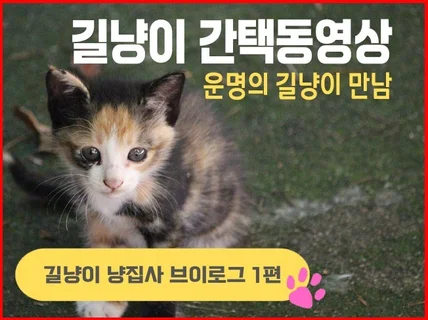 빠른 SNS 카드뉴스 이미지 맞춤 제작