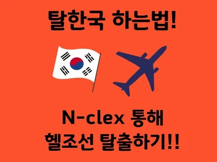 미국간호사 N-Clex 합격 노트 정리