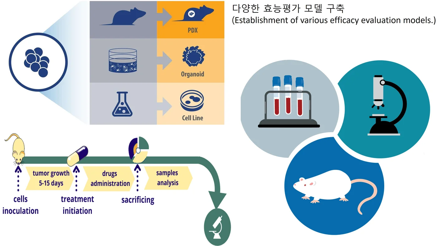 상세이미지-2