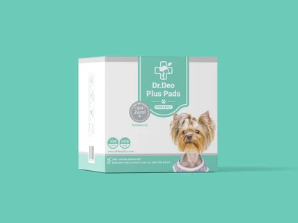 대표님 저희가 만들어 드리겠습니다.