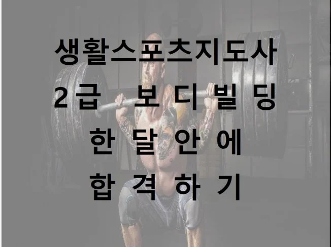 메인 이미지