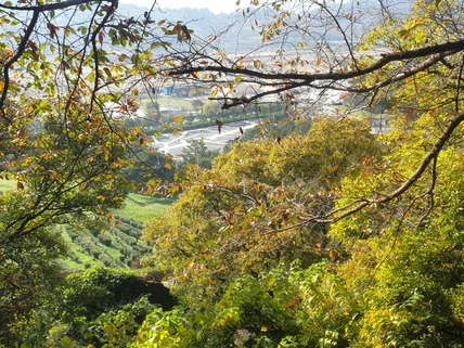 김해시 봉하마을 봉화산 산책로 동행 서비스
